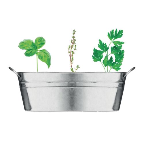 Planter zinc with herbs - Image 2